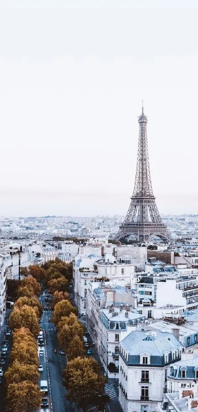 Eiffel Tower cityscape with autumn trees and clear sky.