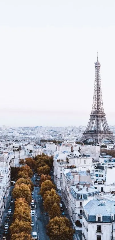 Eiffel Tower amidst Paris cityscape, mobile wallpaper.