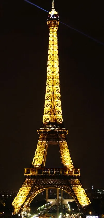 Eiffel Tower glowing brightly at night.