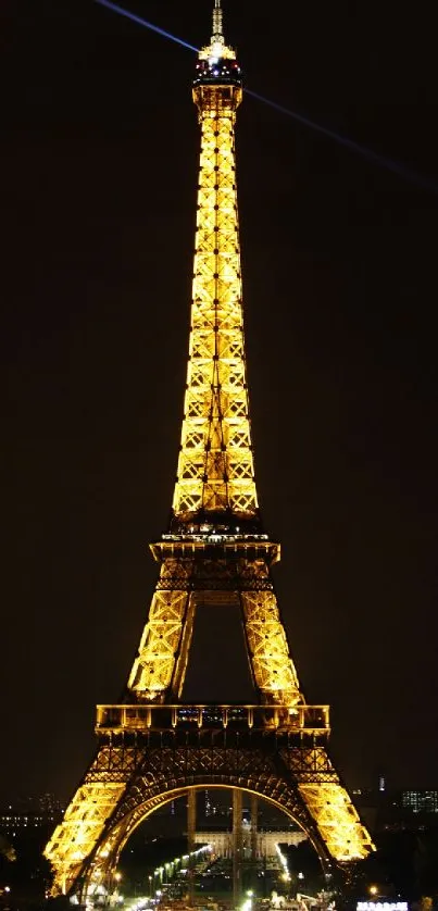 Eiffel Tower illuminated at night with golden lights against a dark sky.