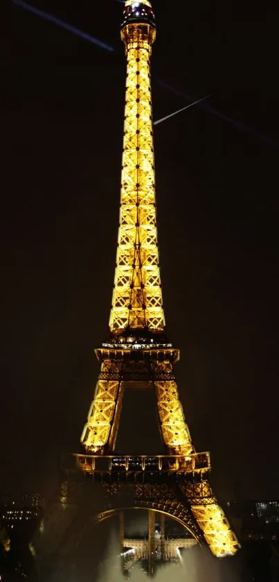 Eiffel Tower illuminated at night with a dark sky backdrop.