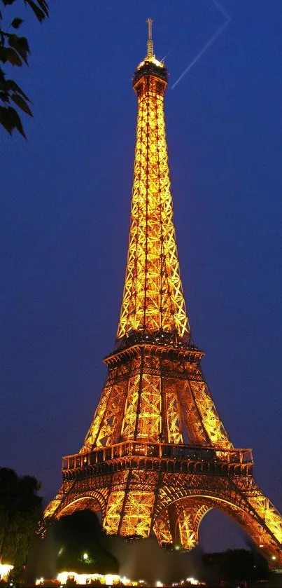 Eiffel Tower glowing at night in Paris, stunning view.