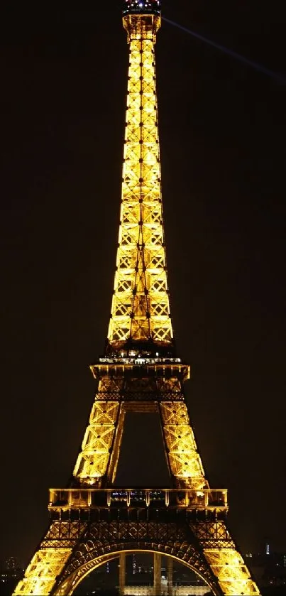 Eiffel Tower glowing at night with golden lights.