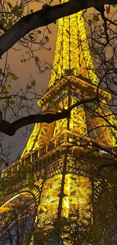 Eiffel Tower illuminated at night through trees.
