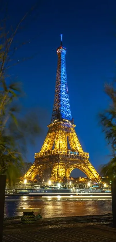 Illuminated Eiffel Tower at night framed by plants.