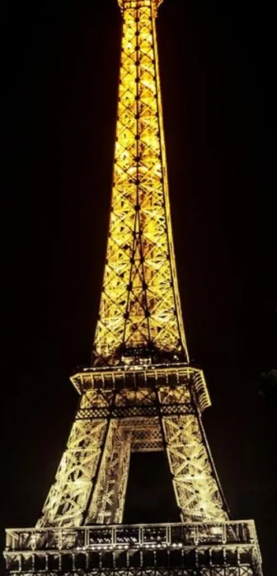 Eiffel Tower illuminated at night, photo wallpaper.