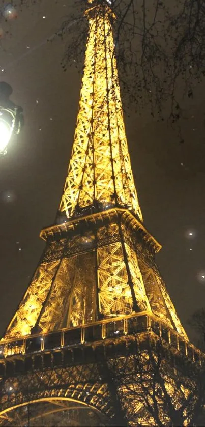 Illuminated Eiffel Tower at night with glowing golden lights.