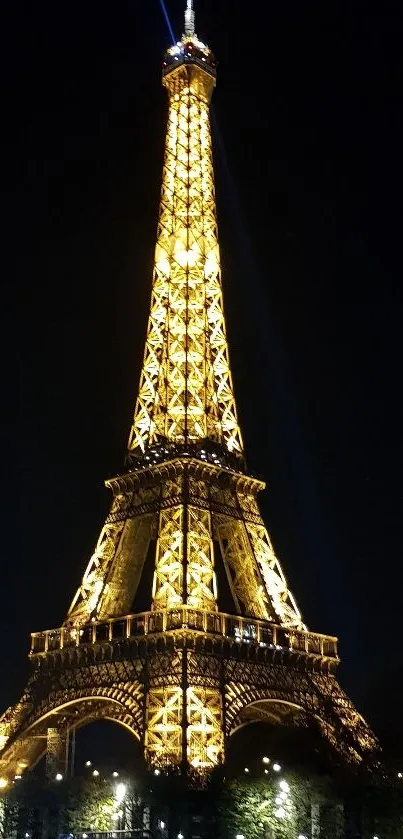 Night view of the illuminated Eiffel Tower in Paris, France.