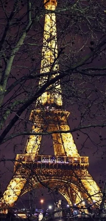 Illuminated Eiffel Tower amongst trees at night, Paris wallpaper.