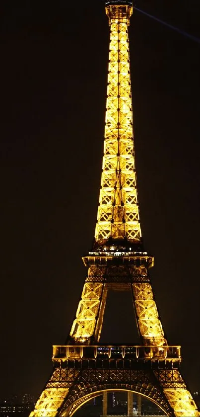 Eiffel Tower illuminated at night against a dark sky.