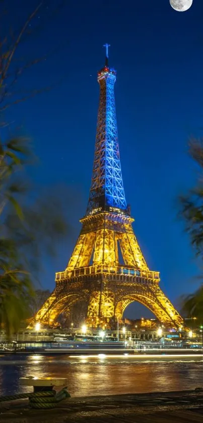Night view of the illuminated Eiffel Tower framed by plants.