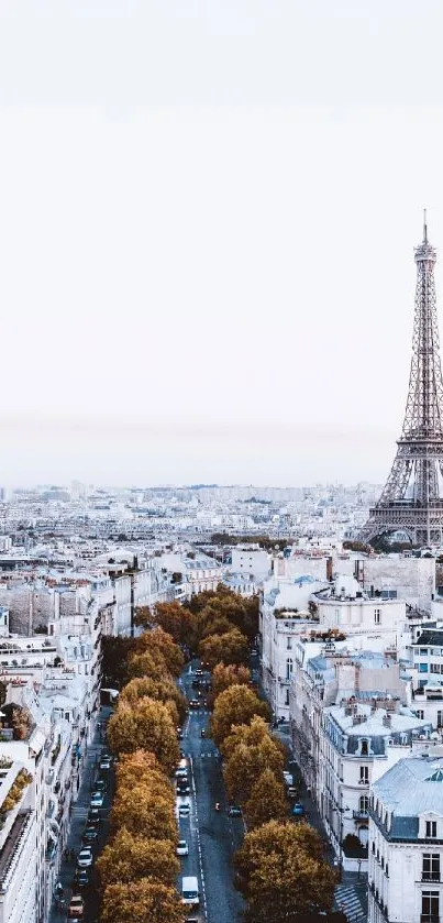 Eiffel Tower with a panoramic view of Paris cityscape.