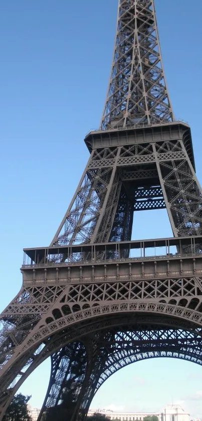 Eiffel Tower against a clear blue sky with lush green trees.