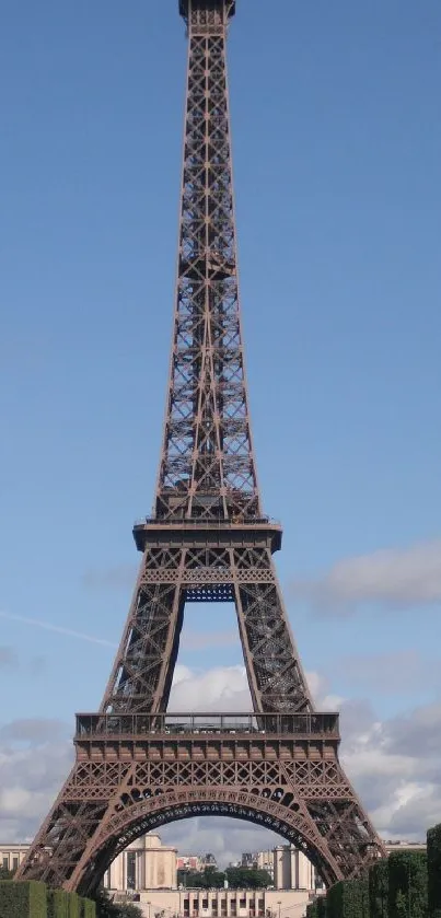 Beautiful mobile wallpaper featuring the iconic Eiffel Tower against a clear sky.