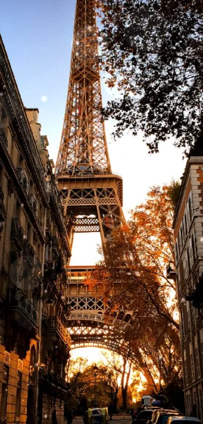 Eiffel Tower framed by autumn trees during a picturesque sunset in Paris.