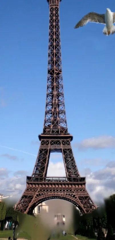 Eiffel Tower with blue sky and a soaring bird in the background.