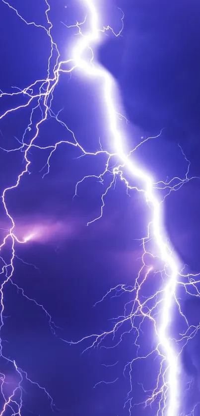 Dynamic lightning strike on a purple sky wallpaper.