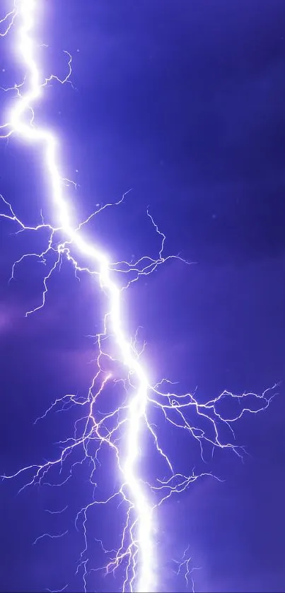 Vivid purple lightning strikes across a dark stormy sky.