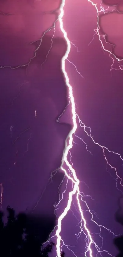 Vivid purple lightning bolt in a stormy night sky wallpaper.