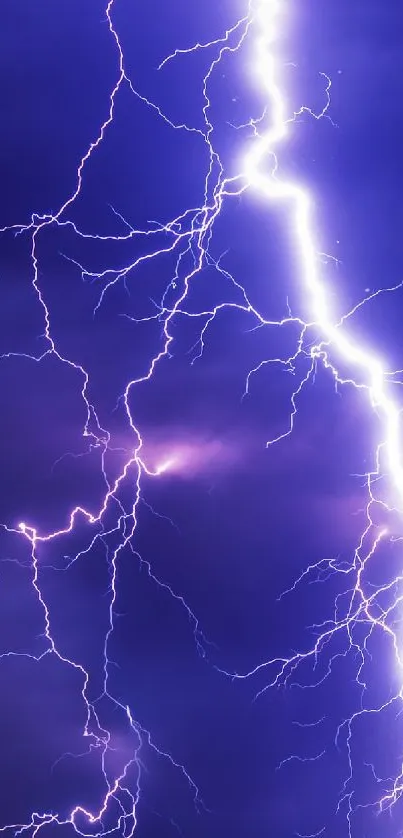 Electric purple lightning bolt in a vibrant stormy sky.