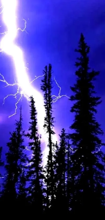 Lightning bolt over dark forest at night, casting intense illumination.