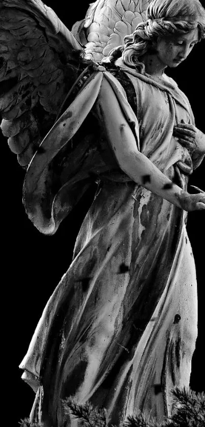 Black and white angel statue on black background, elegant mobile wallpaper.