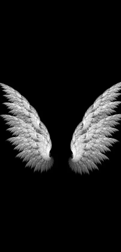 Elegant angel wings on black background wallpaper.