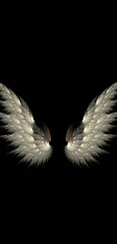 Elegant angel wings on a black background, perfect for phone wallpaper.