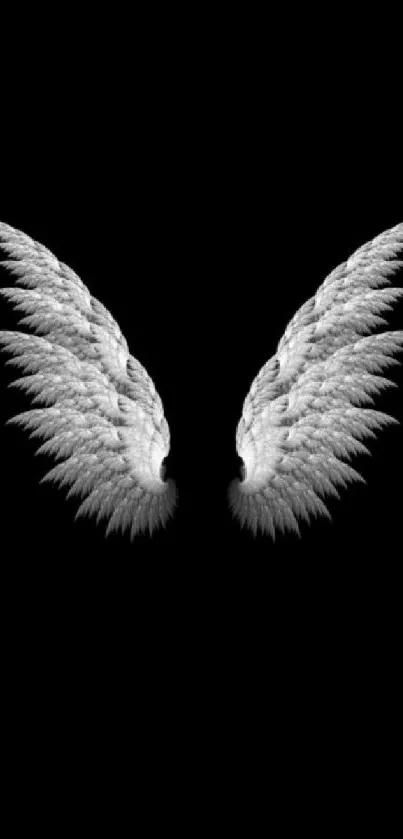 Elegant angel wings on a black background, perfect for mobile wallpaper.