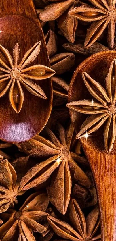 Brown anise spices on wooden spoons, rich and aromatic.