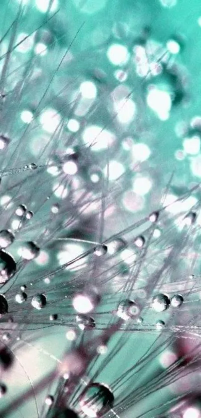 Elegant aqua bokeh wallpaper with water droplets.