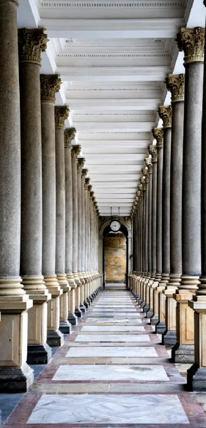 Elegant columns forming a symmetrical pathway in classic architecture.