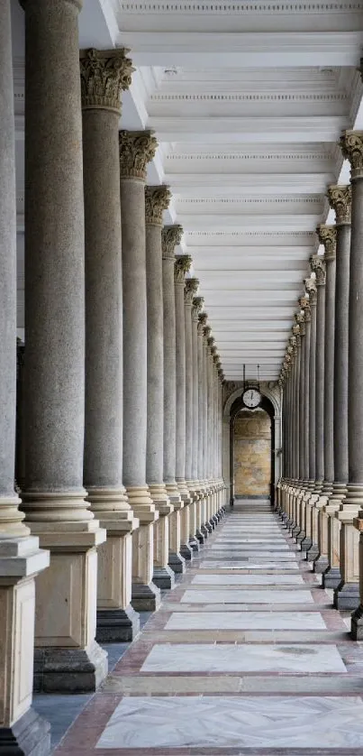 Symmetrical corridor with classical stone columns and intricate ceiling.