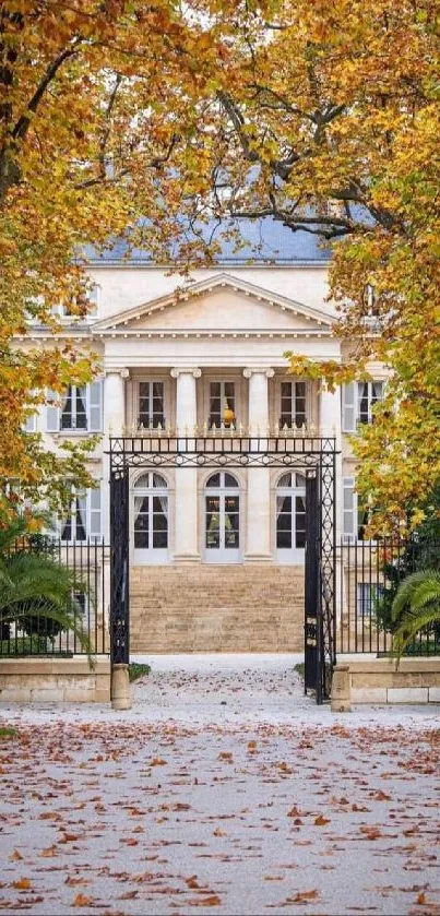 Pathway to a grand estate framed by autumn leaves.