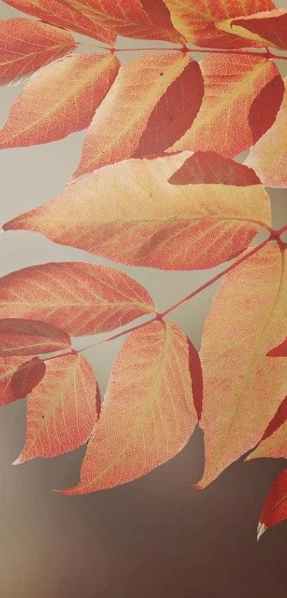 Elegant wallpaper featuring autumn leaves with red and orange hues.