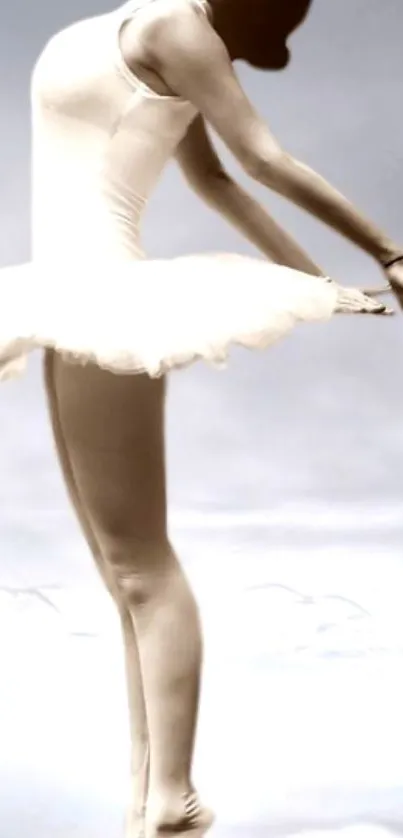 Elegant ballerina in a graceful pose against a soft gray background.