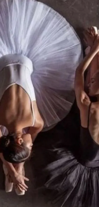 Ballet dancers in black and white tutus posing elegantly.