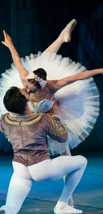 Ballet dancers in an elegant pose on stage, exuding grace and artistry.