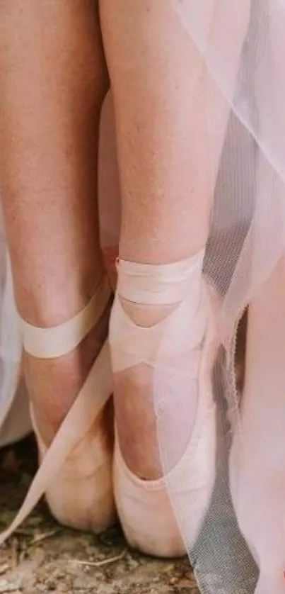 Ballet pointe shoes in soft pink tones, draped in delicate fabric.