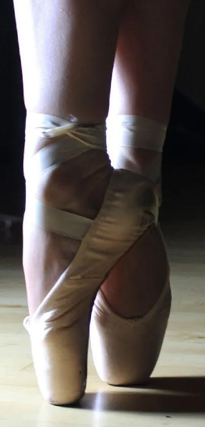 Elegant ballet pointe shoes in gentle light on wooden floor.