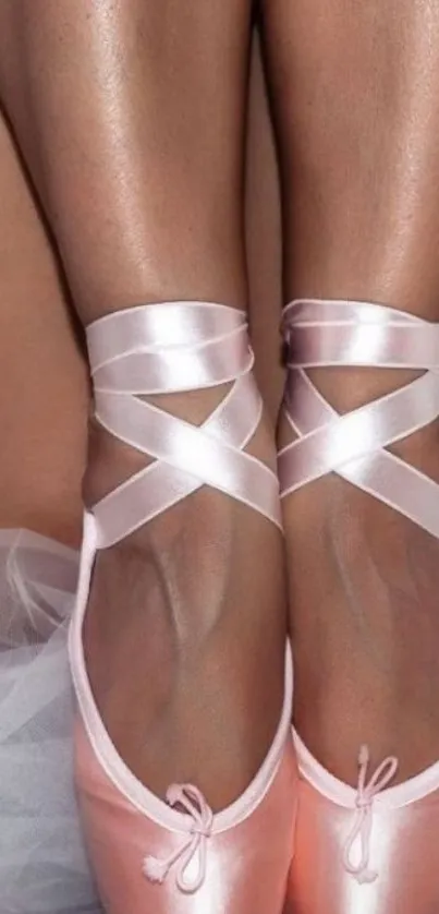 Pink satin ballet shoes with tulle accents.