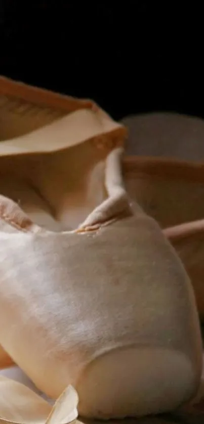 Close-up of elegant ballet shoes in beige tones.