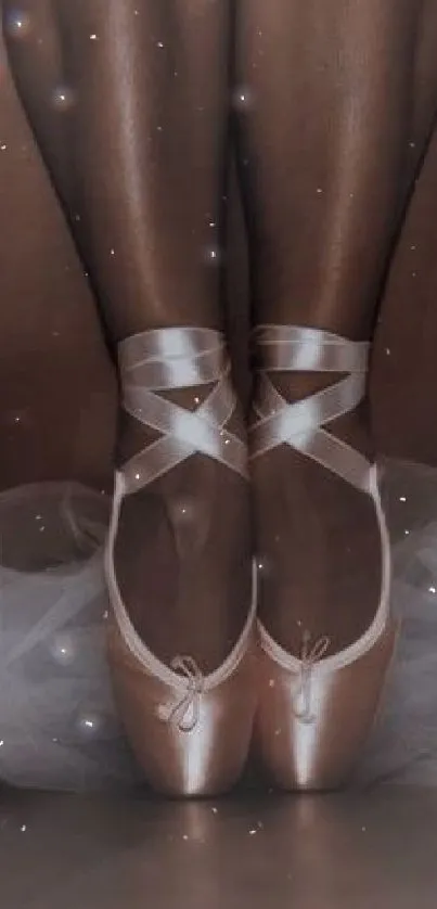 Ballet dancer's legs in pointe shoes with tutu.