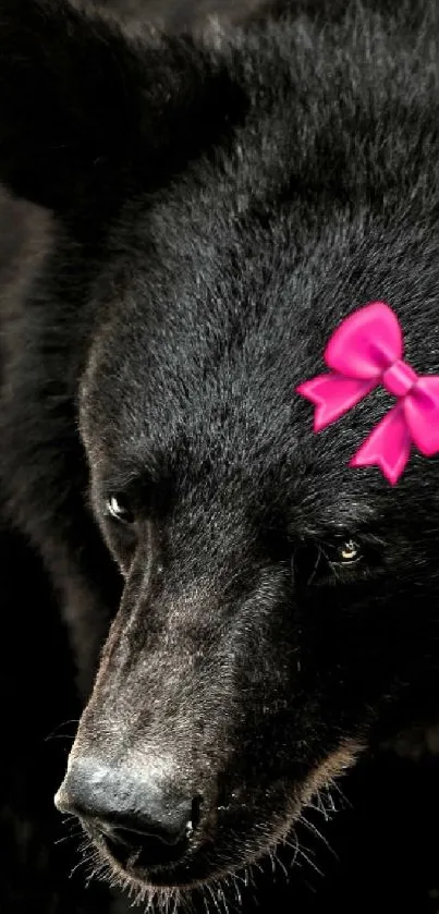 Mobile wallpaper of a black bear with a pink bow.