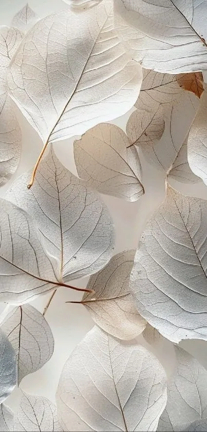 Elegant white leaves pattern in a serene mobile wallpaper.