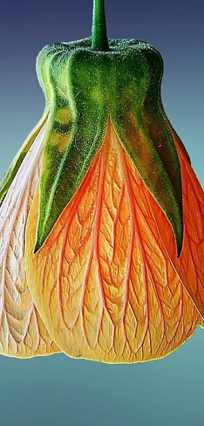 Elegant bellflower in green and orange hues against a gradient background.