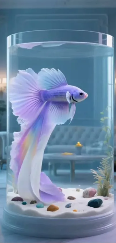 Elegant Betta fish in a modern aquarium setting.