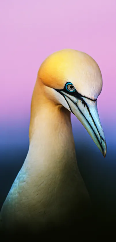 Elegant bird against a pastel sunset gradient, perfect for wallpaper.