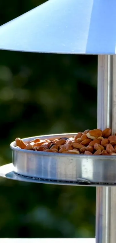 Elegant bird feeder with nuts against green foliage.