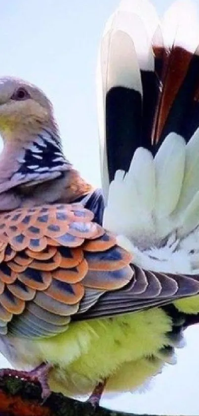 Elegant bird with colorful feathers on a branch against a light blue sky.